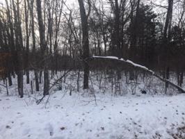 Lot 11 189th