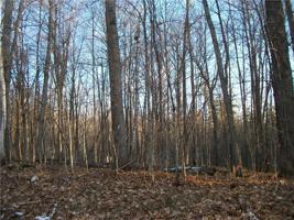LOT #58 Woods (BIRCH SUB) Avenue
