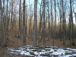 LOT #59 Woods (BIRCH) Avenue