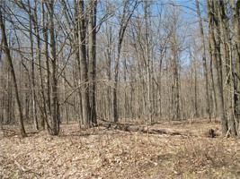 LOT #97 Woods (SPRUCE)