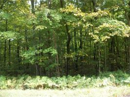 Lots #43,#44, #45 Woods Avenue (SPRUCE) Avenue