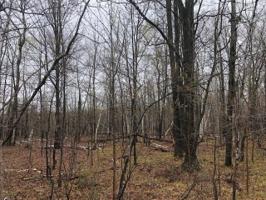 0 Deerwood Drive
