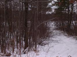 Lot 3 Snowy Owl Lane