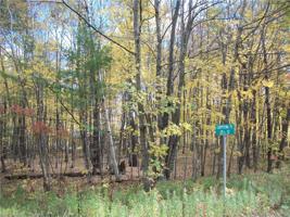 Lot #52 Moccasin Way