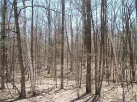 Lot #29 Woods (SPRUCE) Avenue