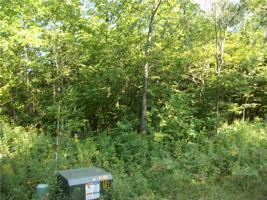 LOT #1 FALKIRK Drive