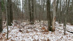 Lot 2 Gurno Lake Road
