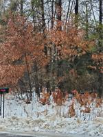 Lot 3 Pinewood Avenue