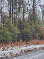 Lot 4 Pinewood Avenue