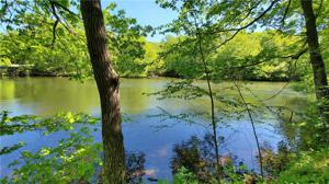 Lot 4 W Robin Ln Lane