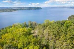 10.23 Acres West Bluff Road S.