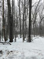 LOT #60 MOCCASIN WAY