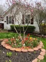 3011 Orchard Drive