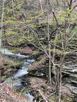 00 Nys Route 54