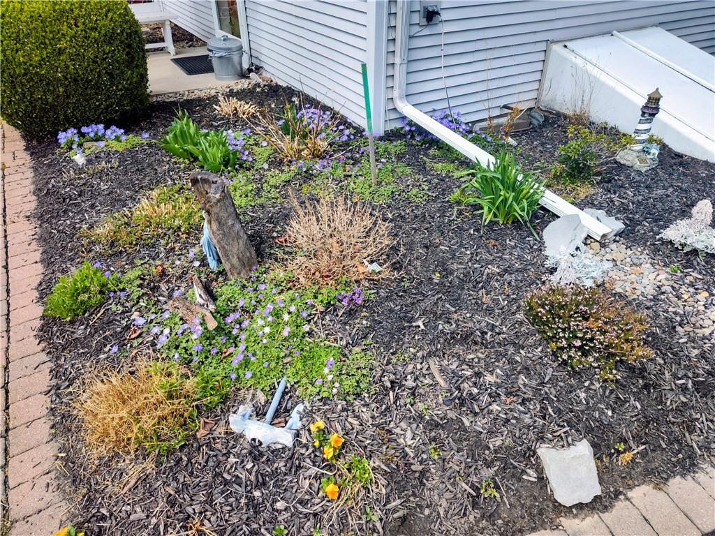 Image 4: Perennial Gardens ready to bloom