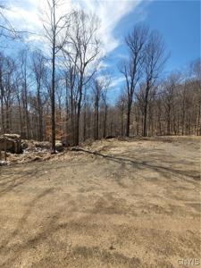 115 Mohawk Drive