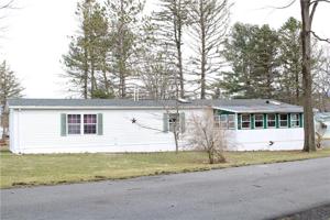 61 Cheryl Drive