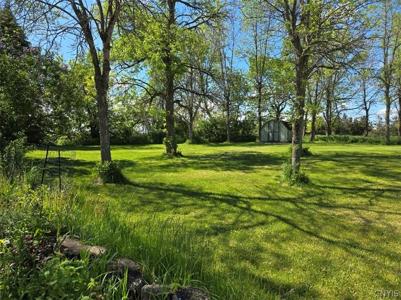 34699 Bubba Lane