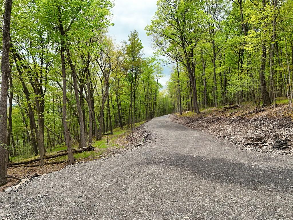 Image 2: Road looking south