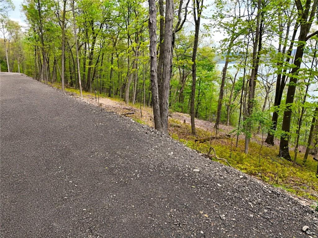 Image 3: Road looking north