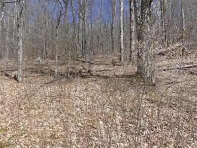 Lot 11.2 Alpine Drive