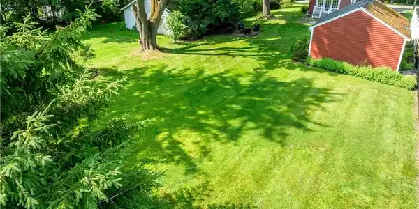 Image 3: A beautiful backyard!