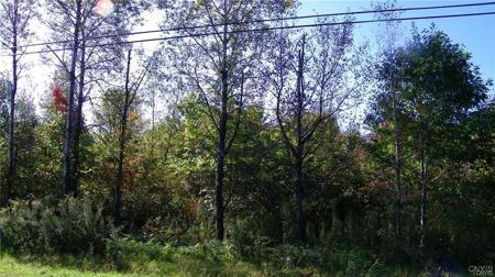 Lot #2 Martin Road