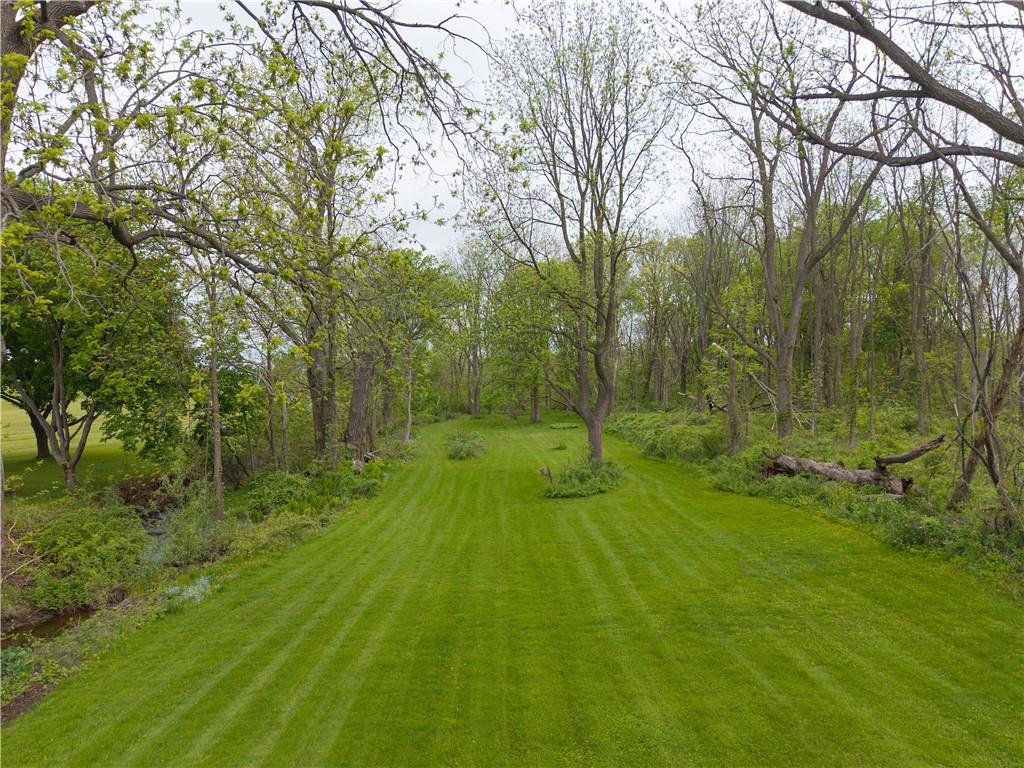 Image 4: back yard