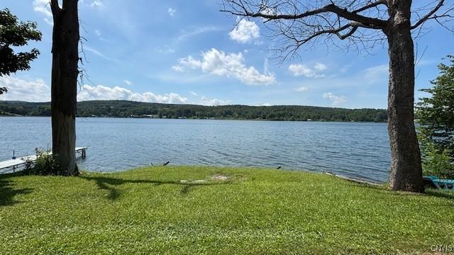 Image 4: 54' waterfront across road from house