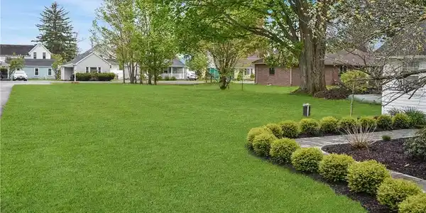 Image 4: Beautiful, maintained yard with lush lawn, mature