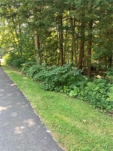 0 Shady Lane
