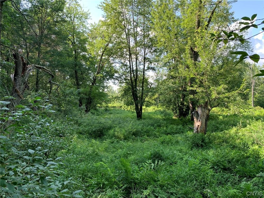 Image 3: River Flood Plain