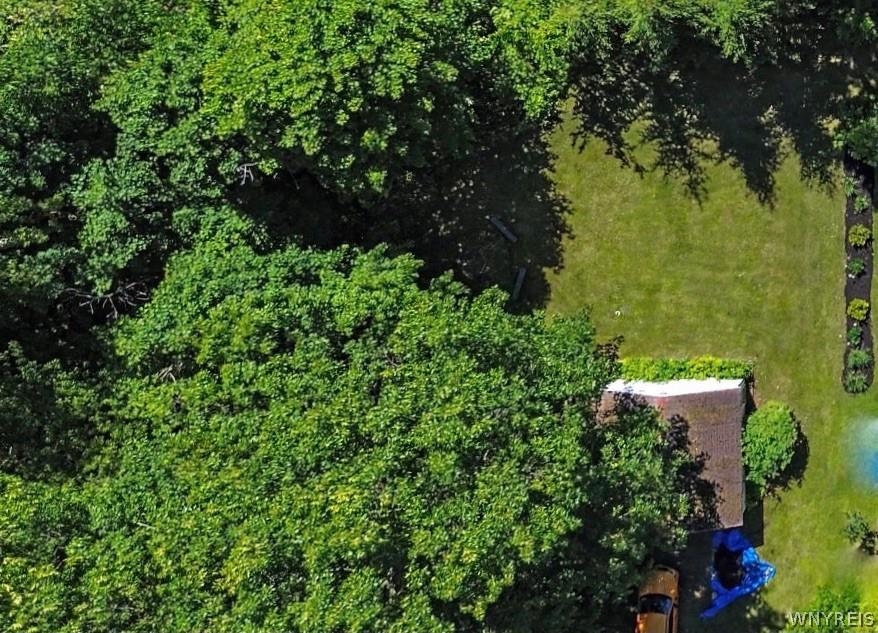 Image 1: Overview of lots; flower bed to the right is inclu