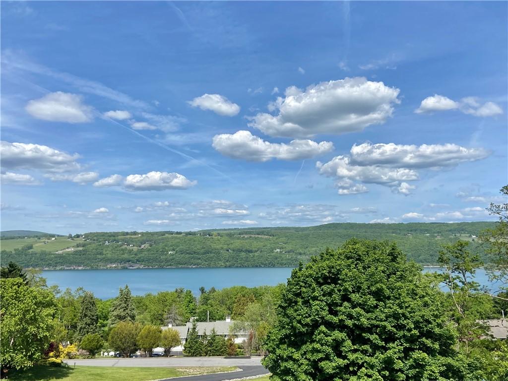 Image 4: Seneca Lake views