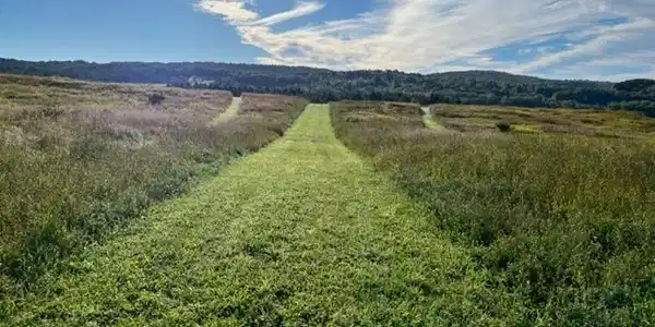 Lot 7 Lake Moraine Road