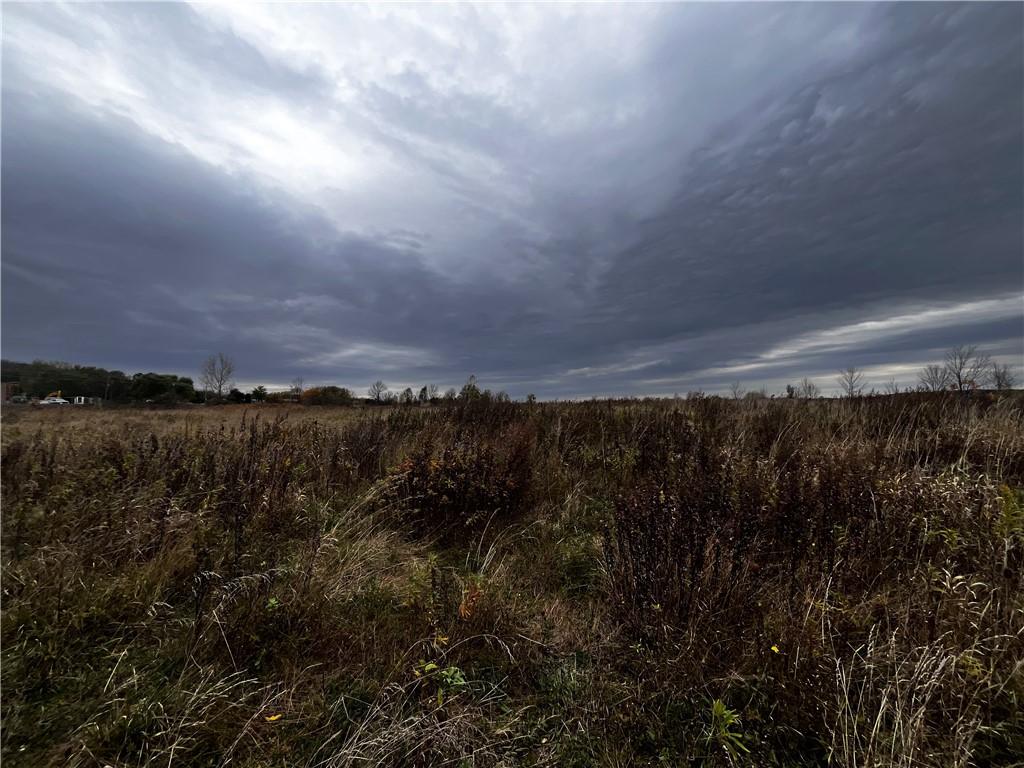 Image 1: Mostly level lot.