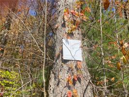 Lot #1 Nys Route 49