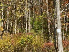 Lot #2 Nys Route 49