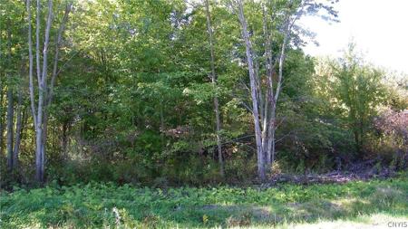 Lot #1 Martin Road