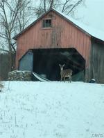 407 County Road 3