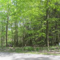 8018 Lake Rd.