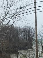 1965 Route 5 Road