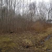 00 Lewis Point Road