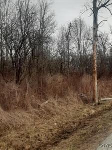 00 Walnut Point Road