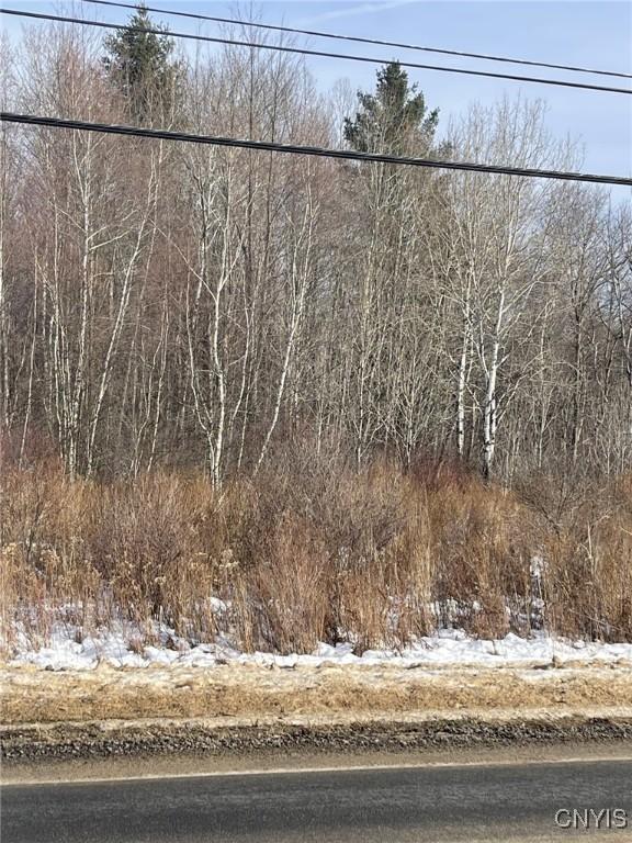 Image 2: View from Rt 46