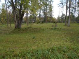 LOT 1B Coulter'S Cove Cove