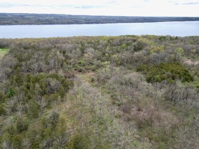Image 2: US Forest to the North Gives this parcel easy acce