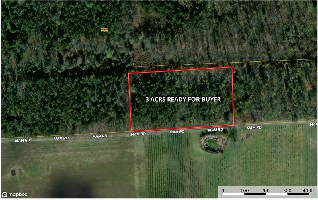 Image 3: 3 Acres of Land  Man Rd Is a Private Road to Lake