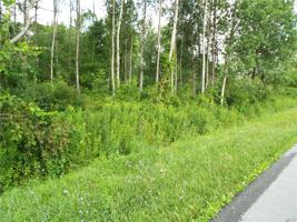 Snell Road (Lot #8) Snell Road