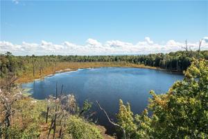 446 Kibbie Lake Road